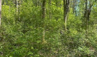 Townline Road, Angelica, NY 14709