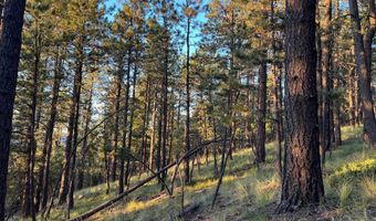 141 Afv N Back Basin Rd, Angel Fire, NM 87710