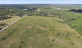 NW Cr-73a, Altha, FL 32421