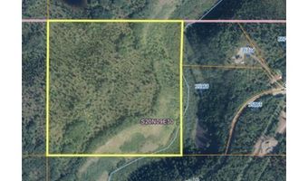 B005 S Packsaddle Road, Chickaloon, AK 99674