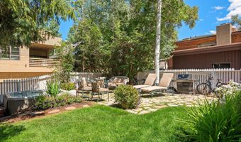 214 W Hyman Ave, Aspen, CO 81611