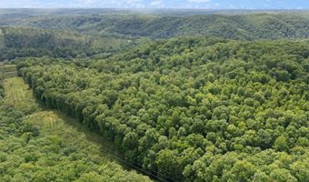 2401 Bell Point Rd, Beattyville, KY 41311