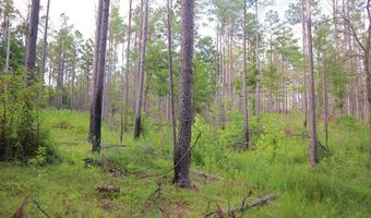 Hwy 9, Bruce, MS 38915