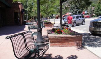 355 Gold Rivers Court Unit 2 & 2A 2 & 2A, Basalt, CO 81621