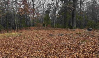 67 Old Wire Rd, Atkins, AR 72823