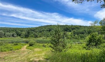 0 Woodland Hills Rd, Andes, NY 13731