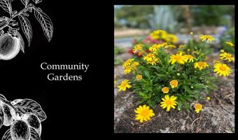 5547 SW 125TH Cir, Archer, FL 32618