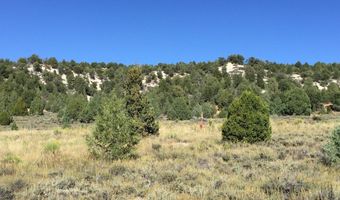 unit B2 B2, Alton, UT 84710