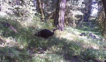 L16 B1 Lantern Way lot 16, Cascade, ID 83611
