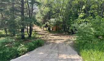 002 Maxey Rd, Arcadia, MI 49613