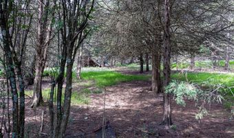 ALUM SPRINGS RD, Basye, VA 22810
