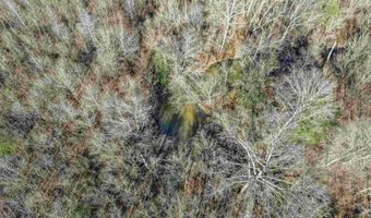 1500 SHOAL CREEK Rd Lot 0, Ashville, AL 35131