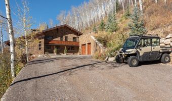 6770 Castle Creek Rd, Aspen, CO 81611