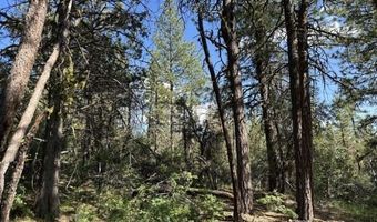 Sandpiper Ln, Beatty, OR 97621