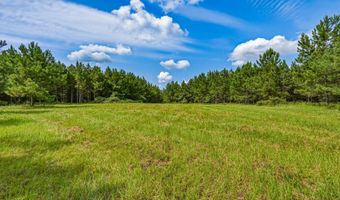 Harry Priddy Road, Americus, GA 31719