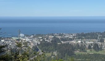 Jodel CT 3, Brookings, OR 97415