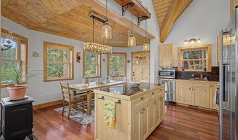 62 Lazy Rex Rd, Alma, CO 80440