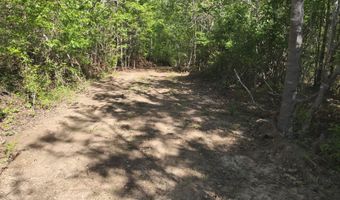 Anding Oil City Road, Bentonia, MS 39040