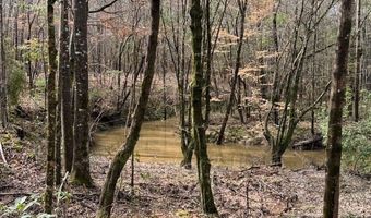 920 B Auburn Dr, Bogue Chitto, MS 39629