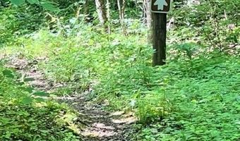 Coperas Cave Branch, Beattyville, KY 41311