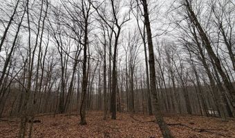 TBD1 E Willow Rd, Bloomfield, IN 47424