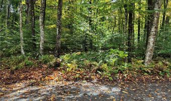 9822 Culver Brook Rd, Alder Creek, NY 13309