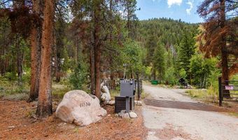 11336 County Road 742, Almont, CO 81210