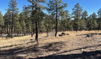 10 County Road 2193, Alpine, AZ 85920