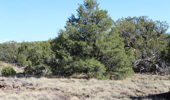 6 County Road 8052, Concho, AZ 85924