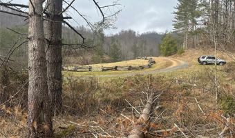 99999 White Pine Ln, Bakersville, NC 28705