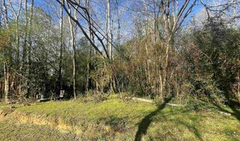 124 ROSS St 124, Adamsville, AL 35005