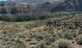 6 Homestead Trl, Challis, ID 83226
