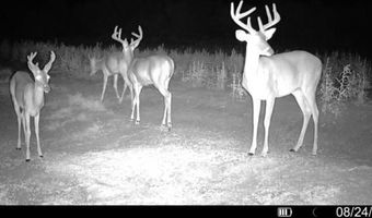 1121 Other, Alice, TX 78342