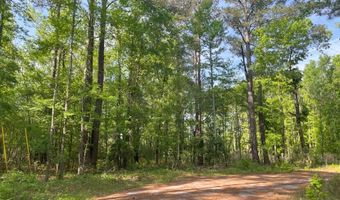 0 Robin Dr, Bamberg, SC 29003