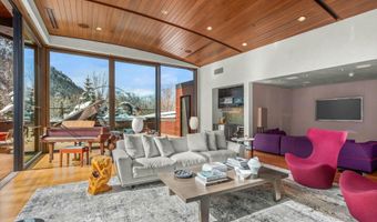 233 E Cooper Ave 301, Aspen, CO 81611