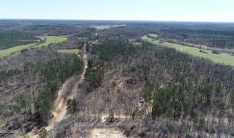 Tract 8 State Route 225, Bethel Springs, TN 38315