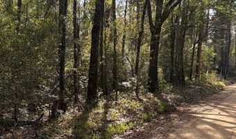 Old Faceville Rd lot # 4, Bainbridge, GA 39819