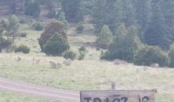 01195 Rito Hondo Rd, Antonito, CO 81120