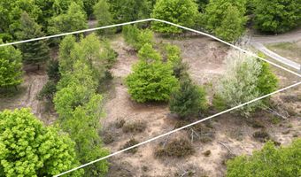 15380 Lake Bluff Dr, Arcadia, MI 49613