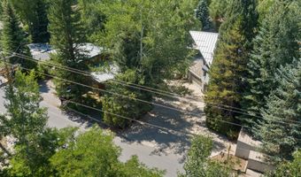 201 Midland Ave, Aspen, CO 81611