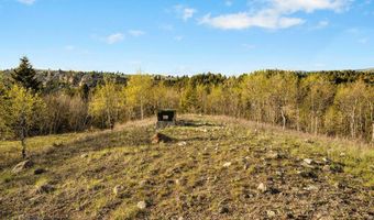 1470 Lime Spur Rd & 44 Two Meadows Dr, Anaconda, MT 59711