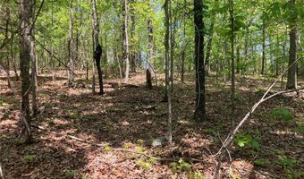 0 County Road 224, Alton, MO 65606