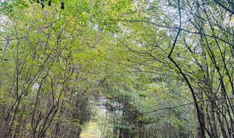 644 Ash-Harrel Loop, Abbeville, GA 31001