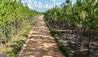 Penny Morris Road, Baxley, GA 31513