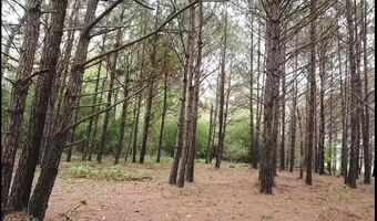 BRUSHY LANE, Arley, AL 35541