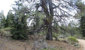 Night Owl Drive Lot 2, Bonanza, OR 97623
