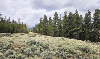 700 Looney Ln Lot 0, Alma, CO 80420