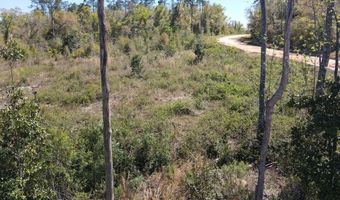 Powder Circle, Alford, FL 32420