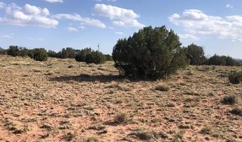 Tbd WICKED SISTERS, Concho, AZ 85924