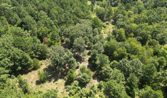 80 N4130 Rd, Antlers, OK 74523